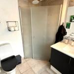 Badezimmer mit Dusche, Waschbecken und Toilette. Moderne Einrichtung mit Pflanze.