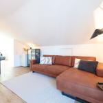 Wohnbereich mit braunem Sofa, Teppich und Stehlampe. Küchenbereich mit Dunstabzug.