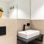 Badezimmer mit Waschbecken, Spiegel und Pflanze