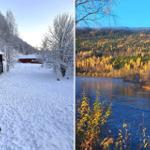 Schneebedeckte Hütte mit Hunden und Wald im Hintergrund. Fluss mit Herbstwald im Hintergrund.