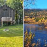 Holzhaus mit Balkon und Husky im Gras. Fluss mit Wald im Herbstlicht.