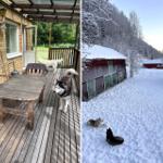 Terrasse mit Tisch und Bank, Hunde draußen. Schneebedeckter Hof mit Scheunen.