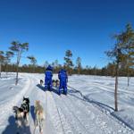 Zwei Personen mit Schlittenhunden unterwegs durch verschneite Landschaft mit Bäumen.