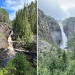 Wasserfälle in einem Wald mit Felsen und Bäumen