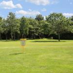 Yellow disc golf basket on green grass before trees under blue sky.