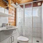Bathroom with shower, sink and toilet. Wooden walls and tiles.