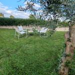 Garden with two white chairs and table under olive tree.