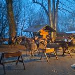 Wildfütterung am "Rehberger Grabenhaus" im Winter.
Reservierung  erforderlich.
Parkplatz Anfang des Weges - gegenüberliegende Straßenseite