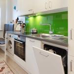 Küche mit grünem Hintergrund, Spüle, Herd und integriertem Geschirrspüler.