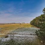 Weitläufiges Feld mit leichtem Schneebedeckung und Bäumen am Rand.