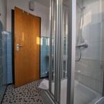 Badezimmer mit Dusche, Toilette und Holztür.