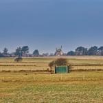 Weite Felder mit Windmühle im Hintergrund und Pferd in der Ferne.