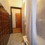 Badezimmer mit Dusche, Mosaikfliesen und Holzboden im Flur.