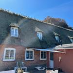 House with thatched roof, white windows, and red plaster on the side.