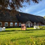 Red brick house with thatched roof and garden with sun lounger.
