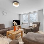 Wohnzimmer mit Sofa, Sessel und Kaminofen. Fenster mit Blick auf Schnee.