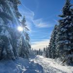 Schneebedeckter Waldweg unter blauem Himmel mit Sonnenschein