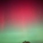 Aurora borealis leuchtet in Rot und Grün über Dach und Bäume.