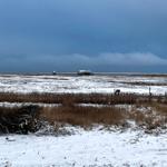 Schneebedecktes Feld mit Blick auf Wasser und Gebäude im Hintergrund.