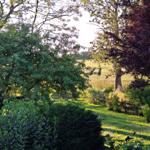 Blick von oben in den Garten