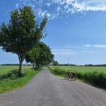 Wege abseits der Hauptstraßen laden zum Radfahren ein.
