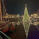 Weihnachtsbaum auf Wasser mit beleuchteten Booten und Häusern im Hintergrund.