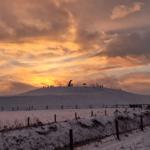 Woge retour im Winter