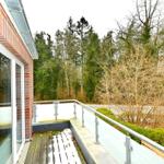 Terrasse mit Holzdielen und Metallgeländer, Blick in einen Wald mit Bäumen und Sträuchern.