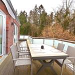 Terrasse mit Tisch und Stühlen, Blick in den Wald, teilweise schneebedeckt