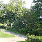 Eine asphaltierte Straße durch einen grünen Park mit Bäumen und Sträuchern.