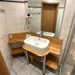 Badezimmer mit Waschbecken, Dusche und Spiegel.