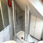 Duschbereich mit Duschkabine, Spiegelschrank und Fenster