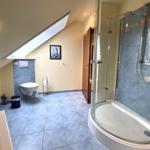 Badezimmer mit Dusche, Toilette und Dachfenster.