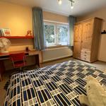 Schlafzimmer mit Bett, Schreibtisch und Holzschrank. Fenster mit Vorhängen.