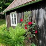 Hütte mit Holzwand, Fenster und roten Rosen im Garten.