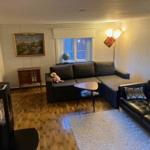 Wohnzimmer mit Sofa, Teppich und Fenster
