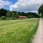 Haus mit rotem Dach liegt am Waldrand. Grasland und unbefestigter Weg führen dorthin.