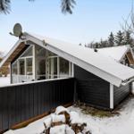 Black wooden house with snow, satellite dish, and woodpile in foreground.