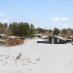 Black-painted houses covered in snow, surrounded by trees and snowy landscape.