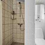 Bathroom with shower, toilet, and window