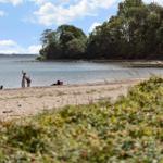Beach with people and dog near water, surrounded by trees and greenery.