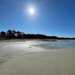 Sonniger Strand mit feinem Sand und Wasser, umgeben von Bäumen unter blauem Himmel.