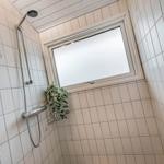 Dusche mit Duschbrause, Fenster und Pflanze an der Wand.