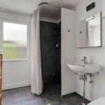 Badezimmer mit Dusche, Waschbecken und Toilette. Holzregal mit Handtüchern und Pflanze.