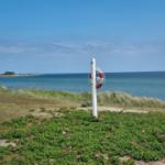 Rettungsring an Pfosten am Strand mit Blumen und Windkraftanlagen im Hintergrund.