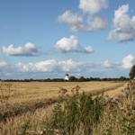 Weite Felder unter blauem Himmel mit Windmühle im Hintergrund