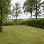 Grüner Rasenbereich mit Bäumen und Hecken im Hintergrund.