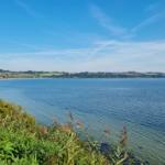Weitläufiger See mit grüner Ufervegetation und fer ner Küstenlinie unter blauem Himmel.