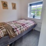 Ein Schlafzimmer mit einem Bett, Fenster und Wanddekoration.