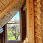 Holzverkleidete Wand und Dachkonstruktion mit Fensterblick auf grünen Garten.